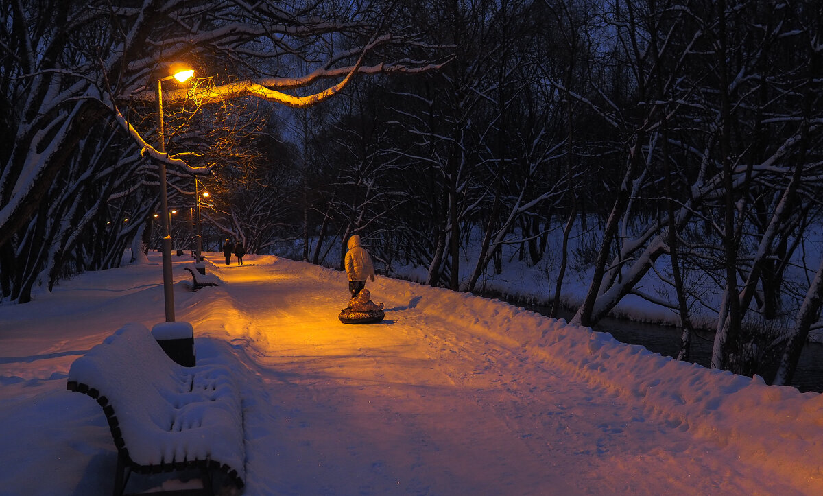 Прогулки в Вечернем Парке - юрий поляков