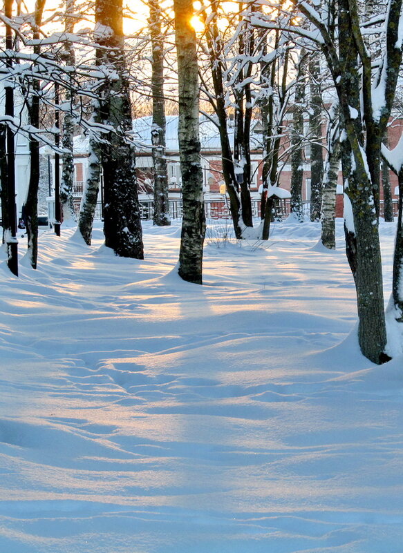 Солнечный снег - Ольга Елисеева