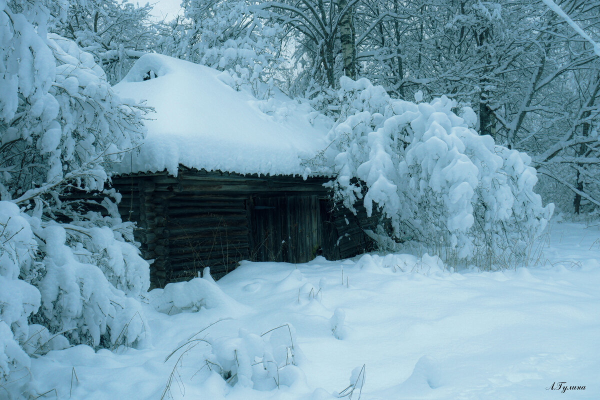 Зима в деревне - Людмила Гулина