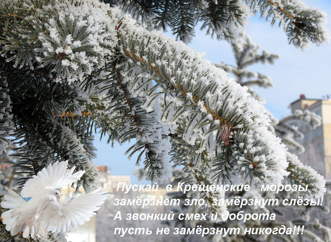 Говорят, что на Крещение небо открывается,  а желанье загадаешь - и оно сбывается. - Тамара Бедай 