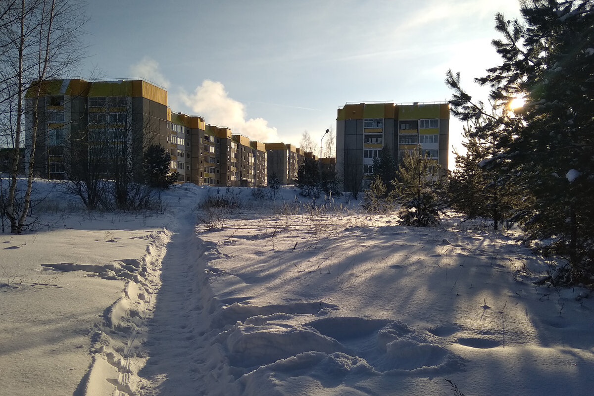 Мой городок граничит с лесом. - Алена 