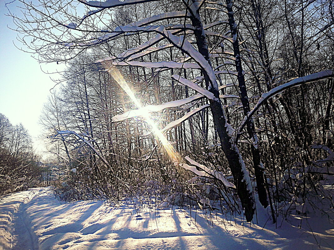 солнечно - Любовь 