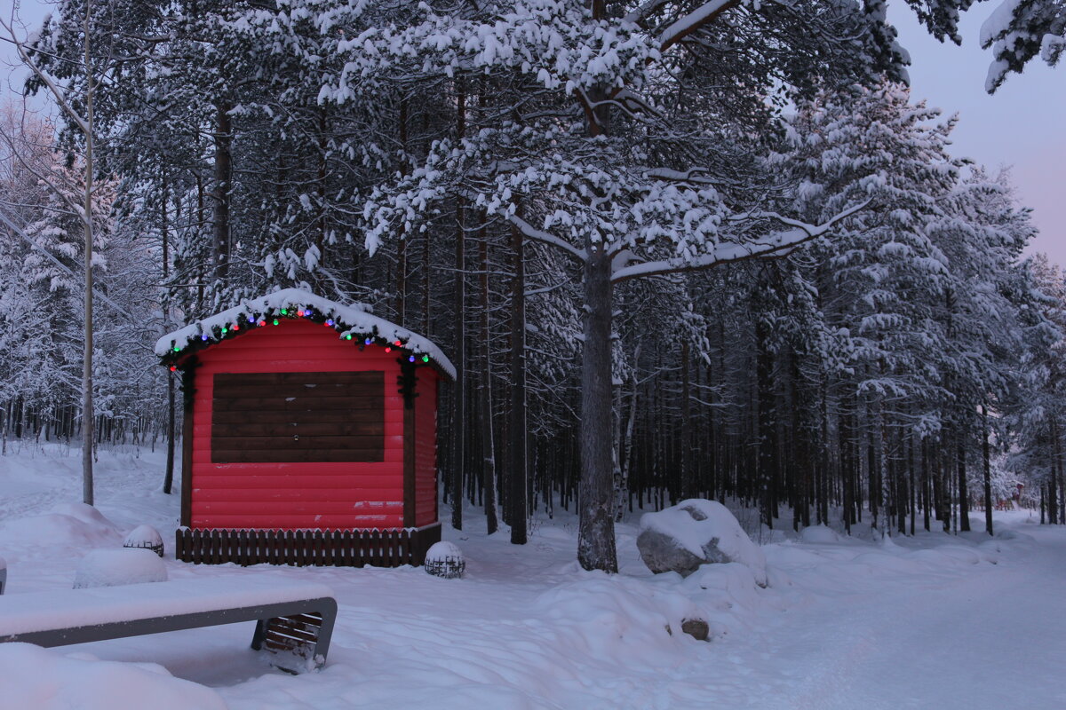 Зима в лесопарке - Ольга 