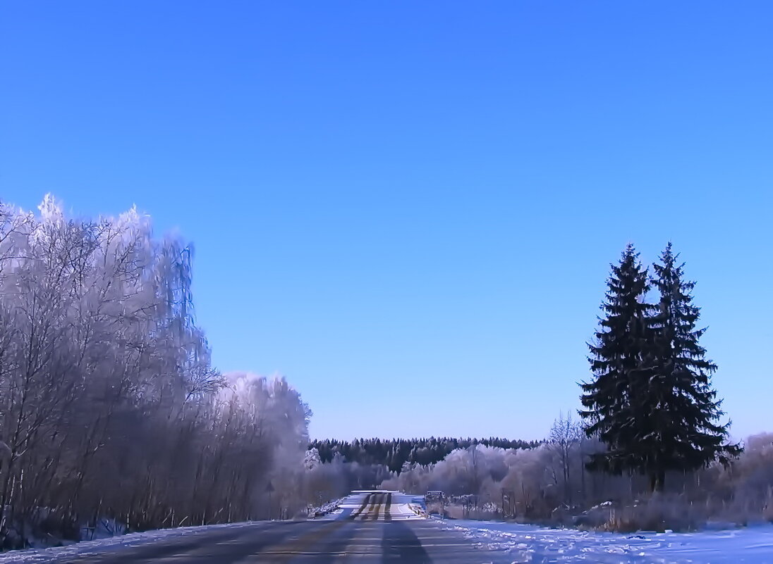 Зимняя дорога - Людмила Смородинская