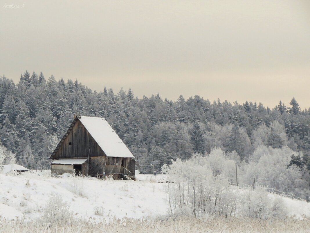 Зима в деревне - Анна Азарёнок