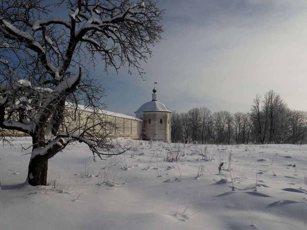 Свенский монастырь в морозный день - Евгений 