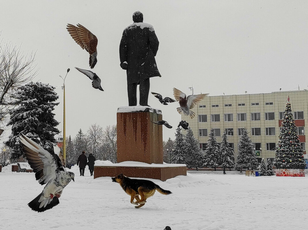 Не дам голубям замерзнуть - Лидия Самойлова