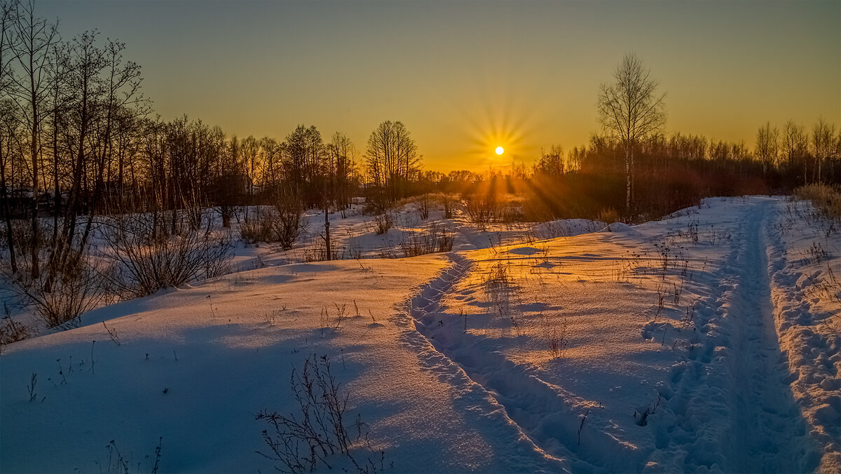 Мороз vs. Солнца # 7 - Андрей Дворников