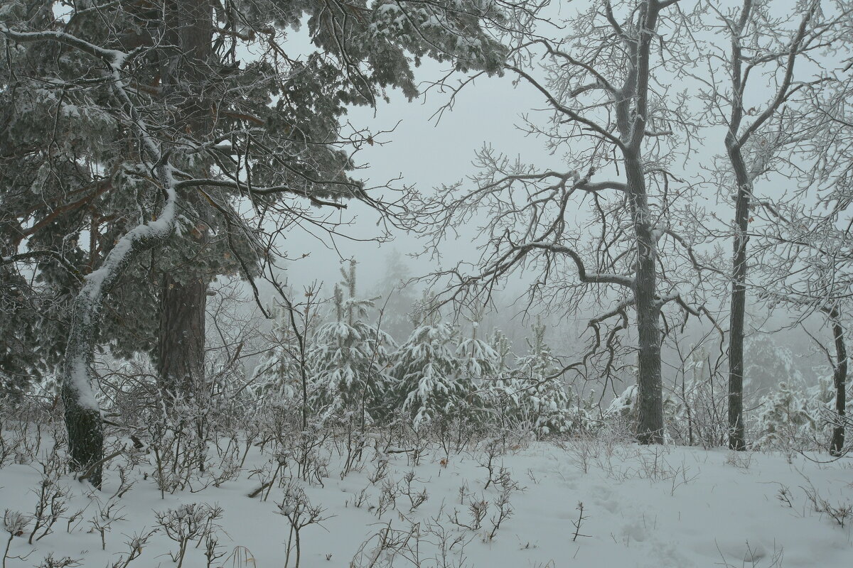 *** - Яковлев Виктор 