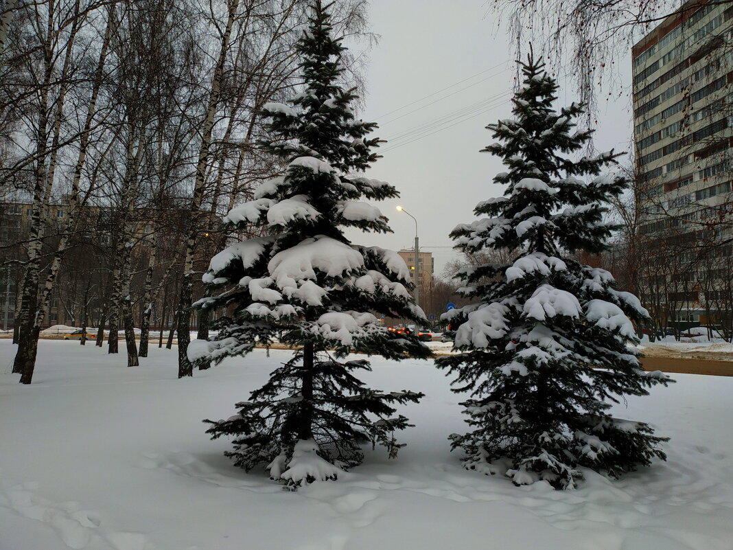 ЧБ часть зимы - Андрей Лукьянов