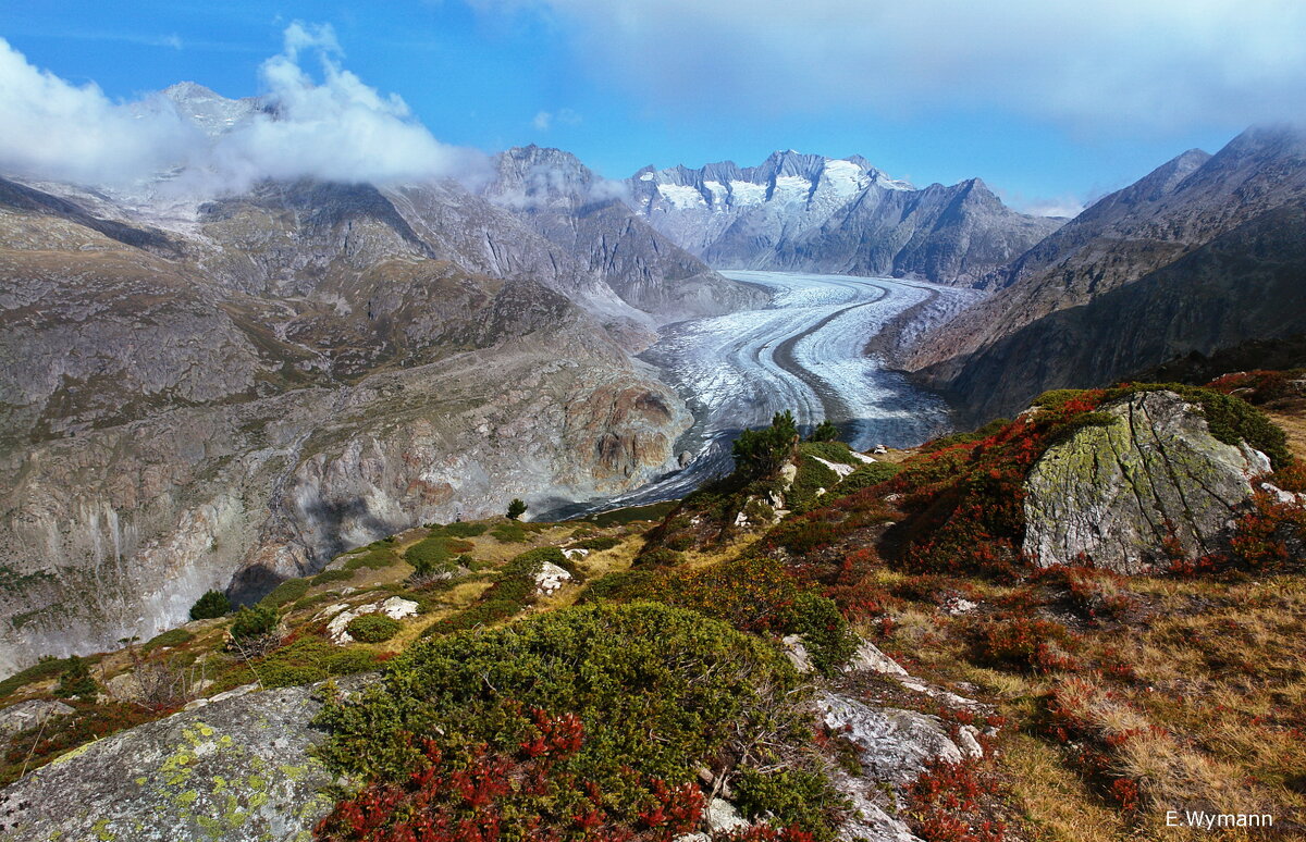 Aletschgletscher - Elena Wymann