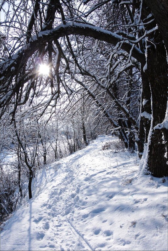 зимняя прогулка - татьяна 