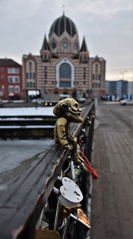 Первый Хомлин на Медовом мосту в Калининграде - Марина 