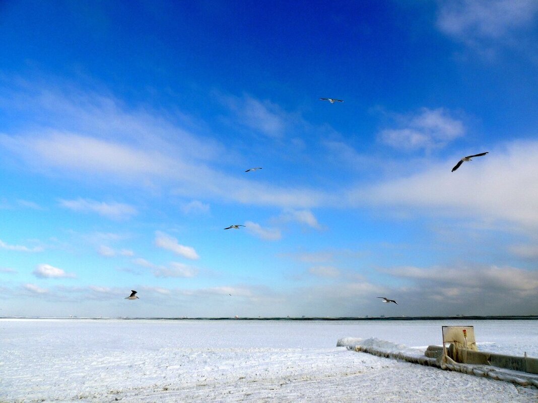 Одесса. Море замерзло. 31.01.2014 - Юрий Тихонов