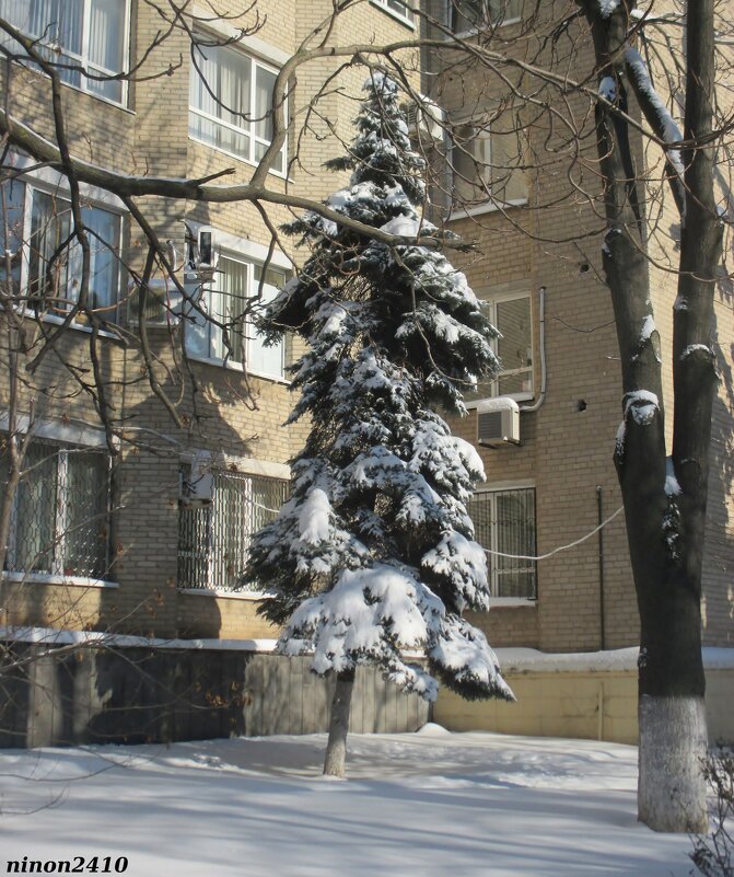 Ростовская зима - Нина Бутко