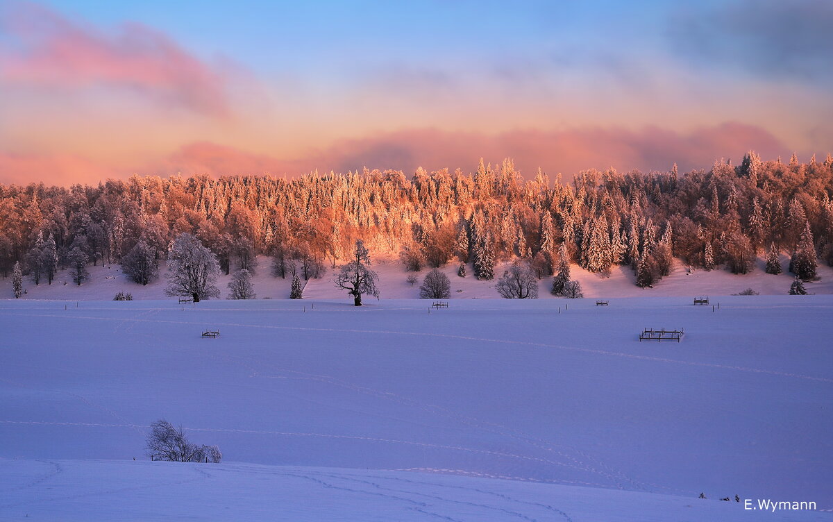 winter morning - Elena Wymann