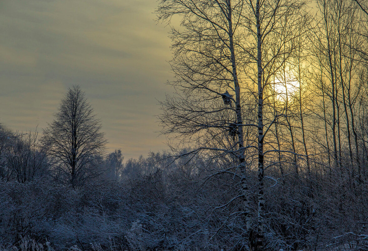Морозное утро - Дмитрий Балашов