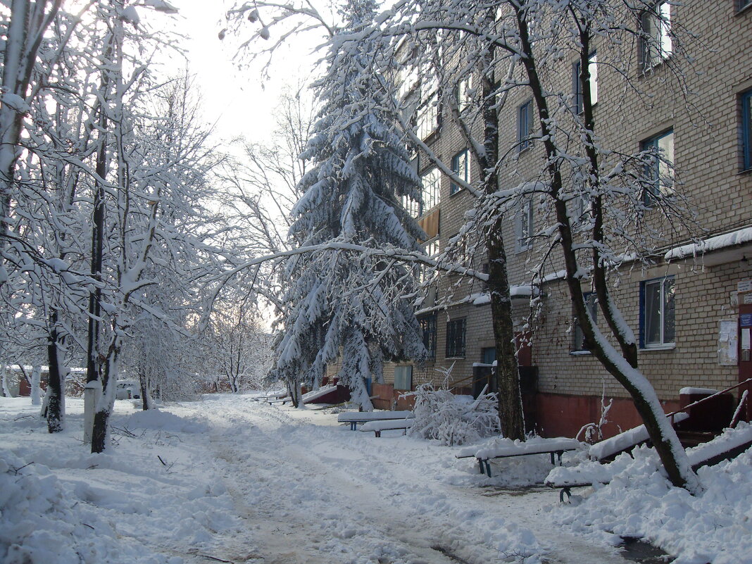 Снежное наслаждение - MarinaKiseleva 