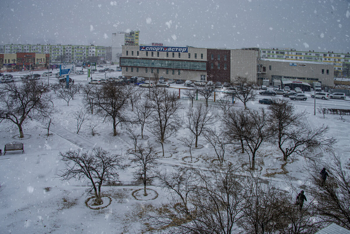 Снежок в январе - Анатолий Чикчирный