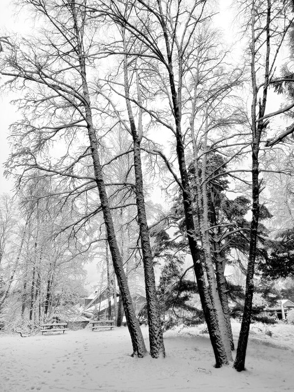 Стокгольмский снегопад - wea *