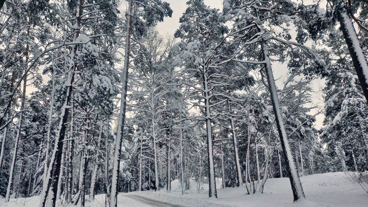 Стокгольмский снегопад - wea *
