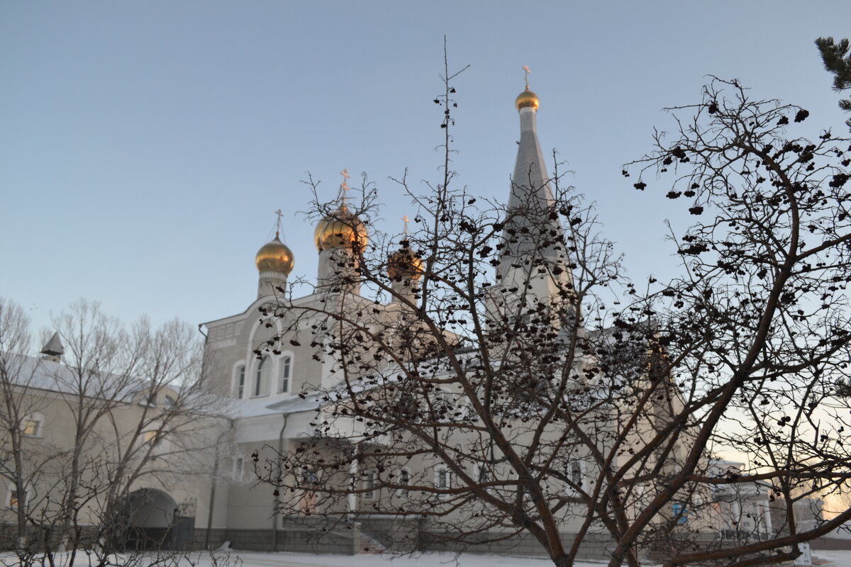 Рябиновые гроздья Свято  Введенского храма... - Георгиевич 