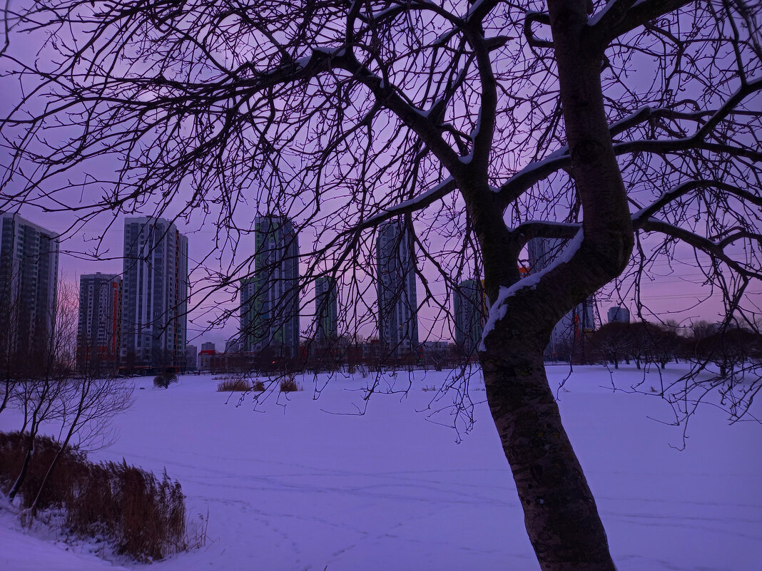 Утро - Сапсан 