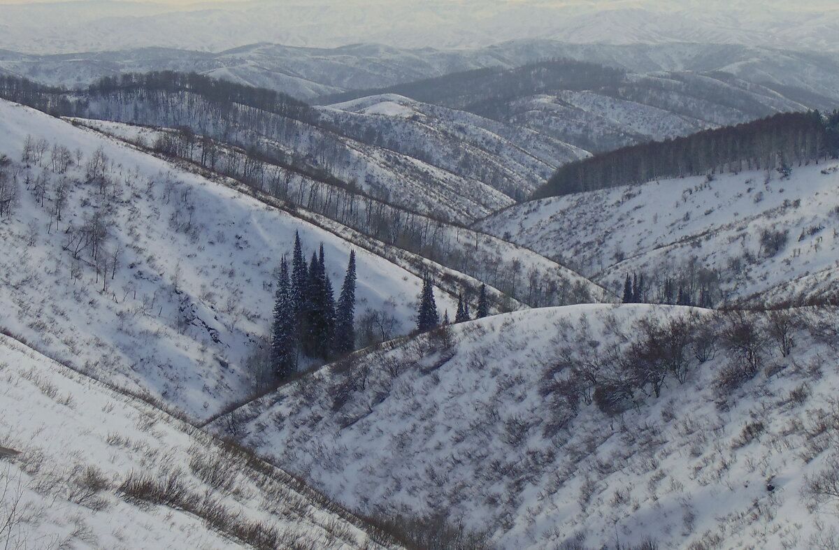 Природа Восточного Казахстана . Зима 2021г. - Мила Бовкун