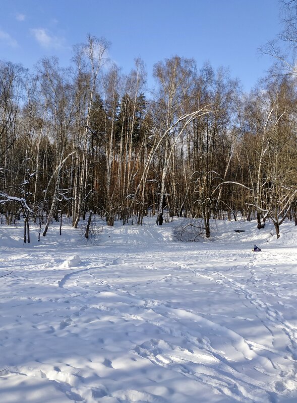 лесное озеро под снегом - Валентина. .
