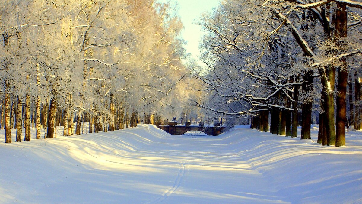 Хороший зимний день в Ал. парке ЦС - 3 - Сергей 
