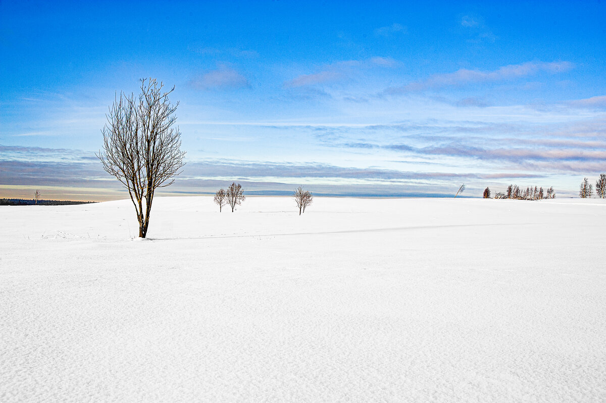 Зимний пейзаж - Roman Zateshilov