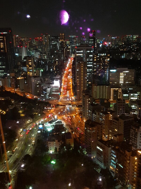 View from Tokyo Tower - Светлана Булашевская