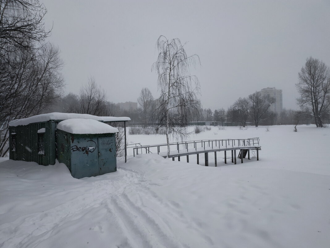 Снегопад, от которого я ждал чего-то большего - Андрей Лукьянов