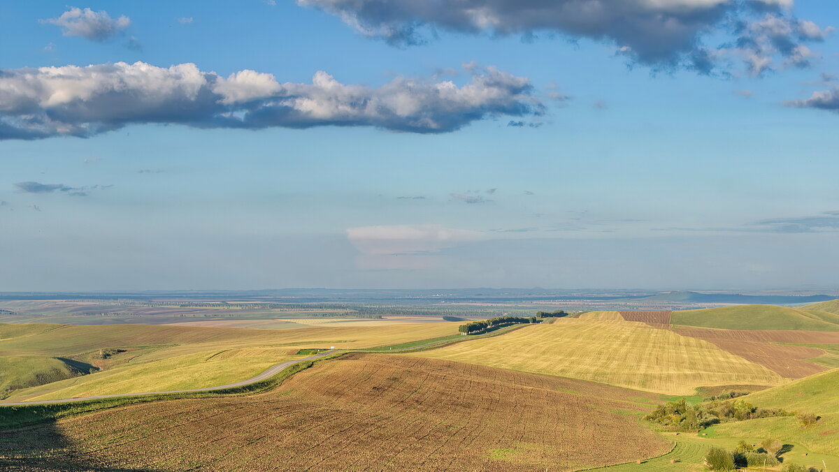 Предгорье Воронеж