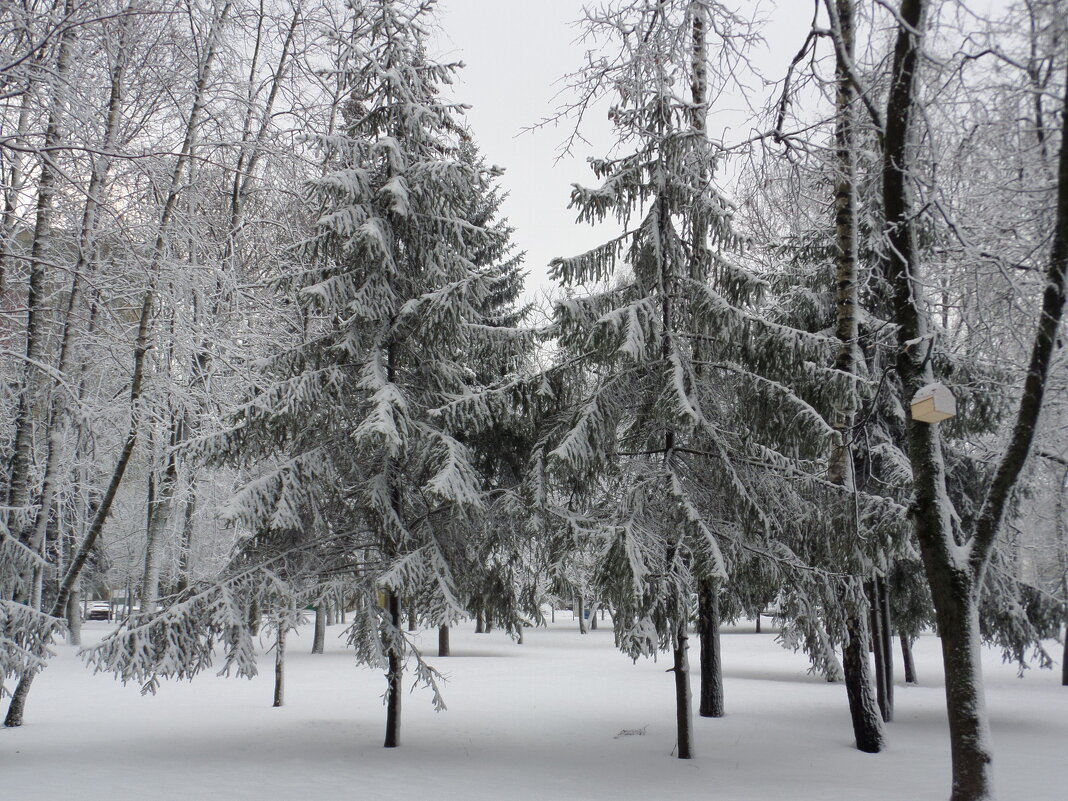 В зимнем парке - MarinaKiseleva 