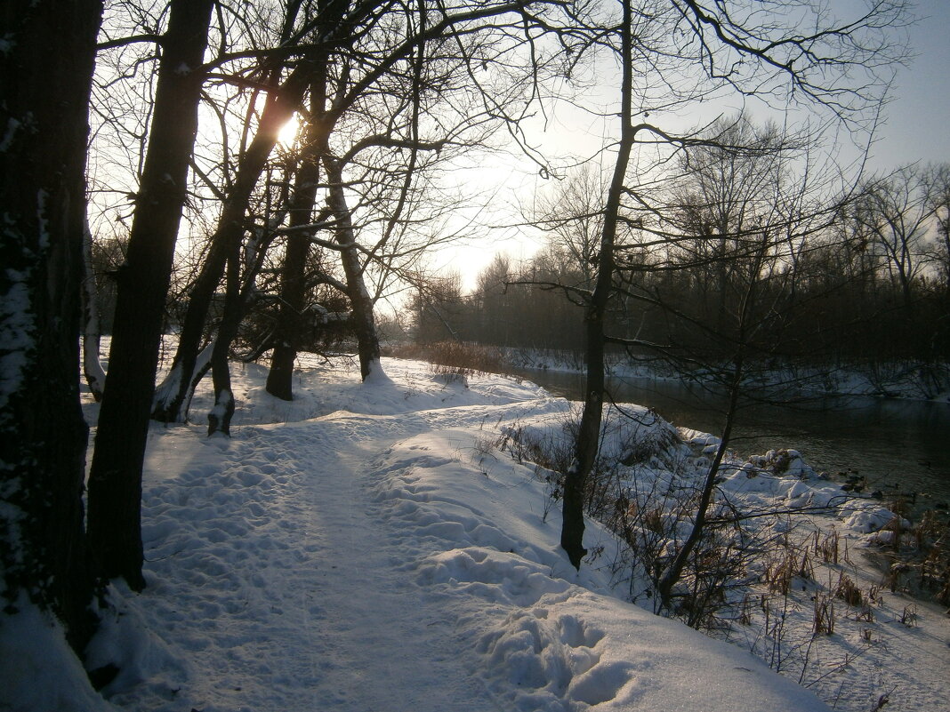 Зимний пейзаж - MarinaKiseleva 
