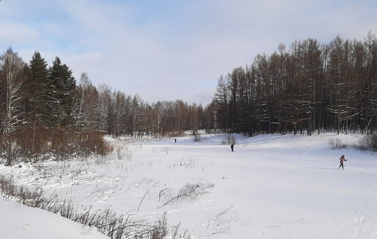 На лыжах по реке - Елена Павлова (Смолова)
