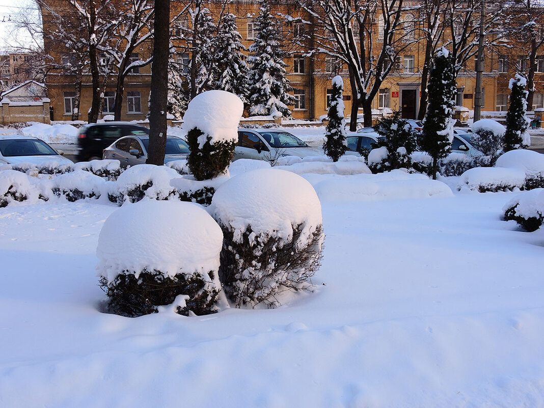 Зима в Ставрополе - Александр 