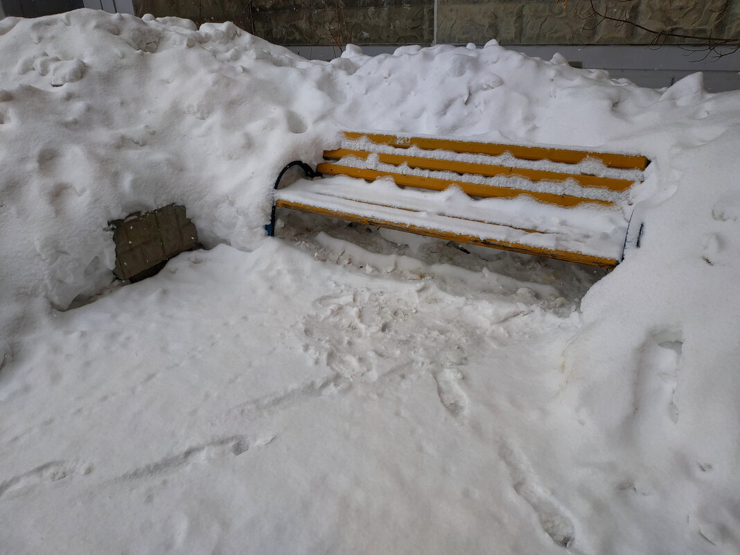 Снег, который коммунальщики укротили - Андрей Лукьянов