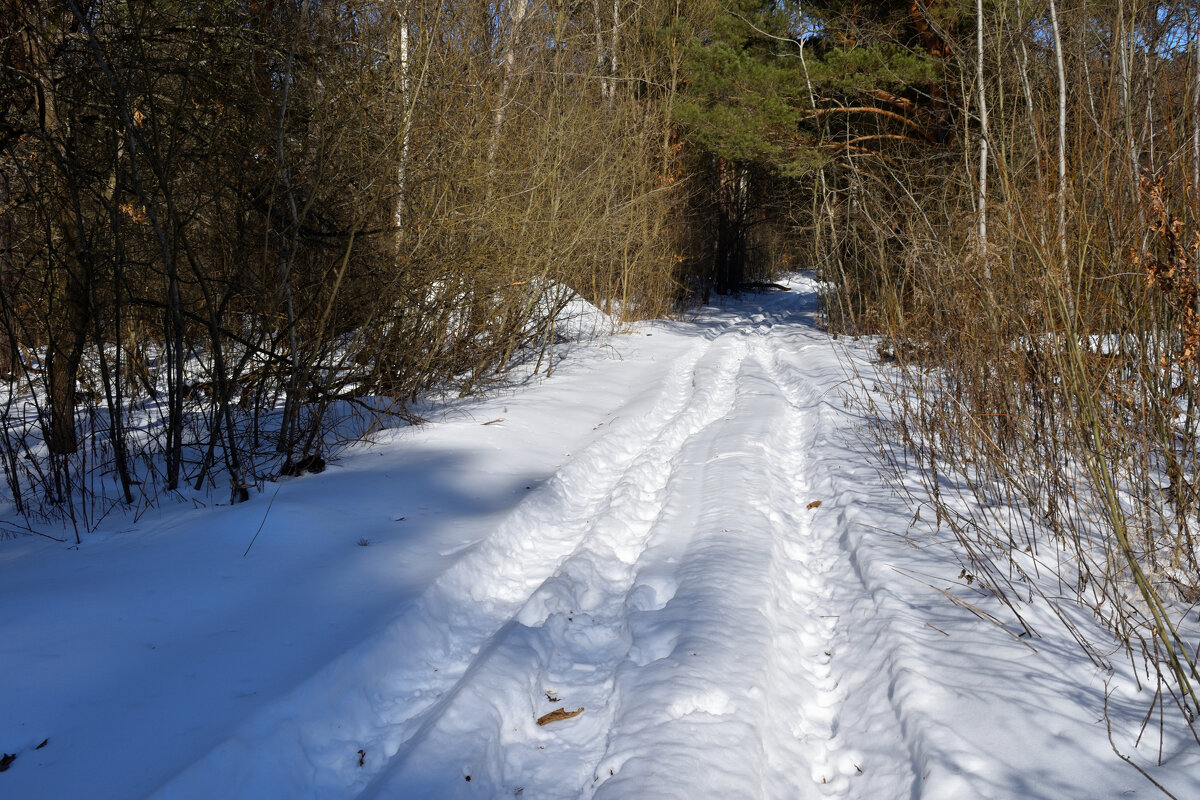 Снежный путь - Gera 