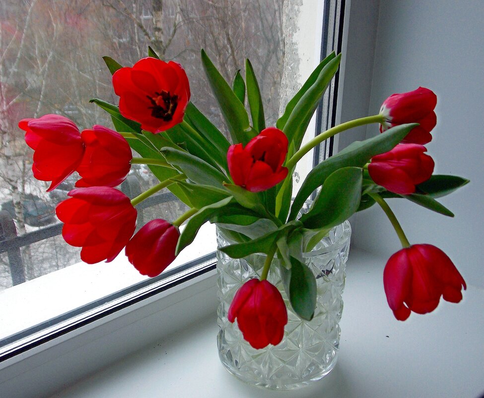 С праздником, друзья, с 23 февраля ! Цветы для вас ! - Galina Solovova