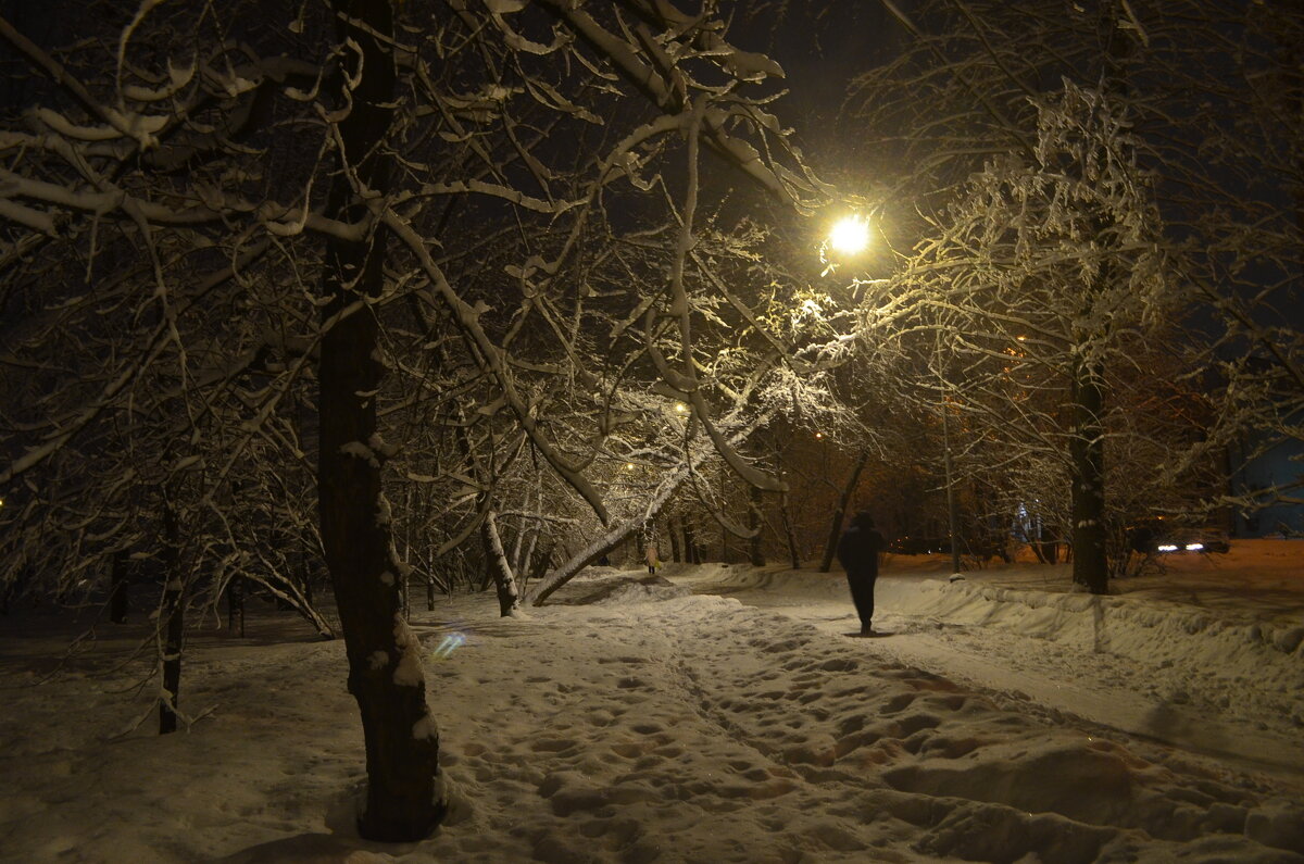 дорогой снежною... - Галина R...