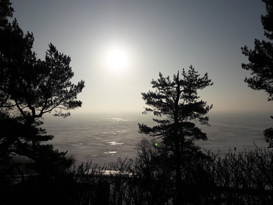 Солнышко проснулось на заливе - Красоты Балтики
