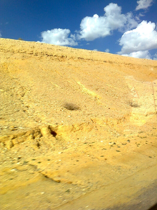 Пустыня Негев - Герович Лилия 