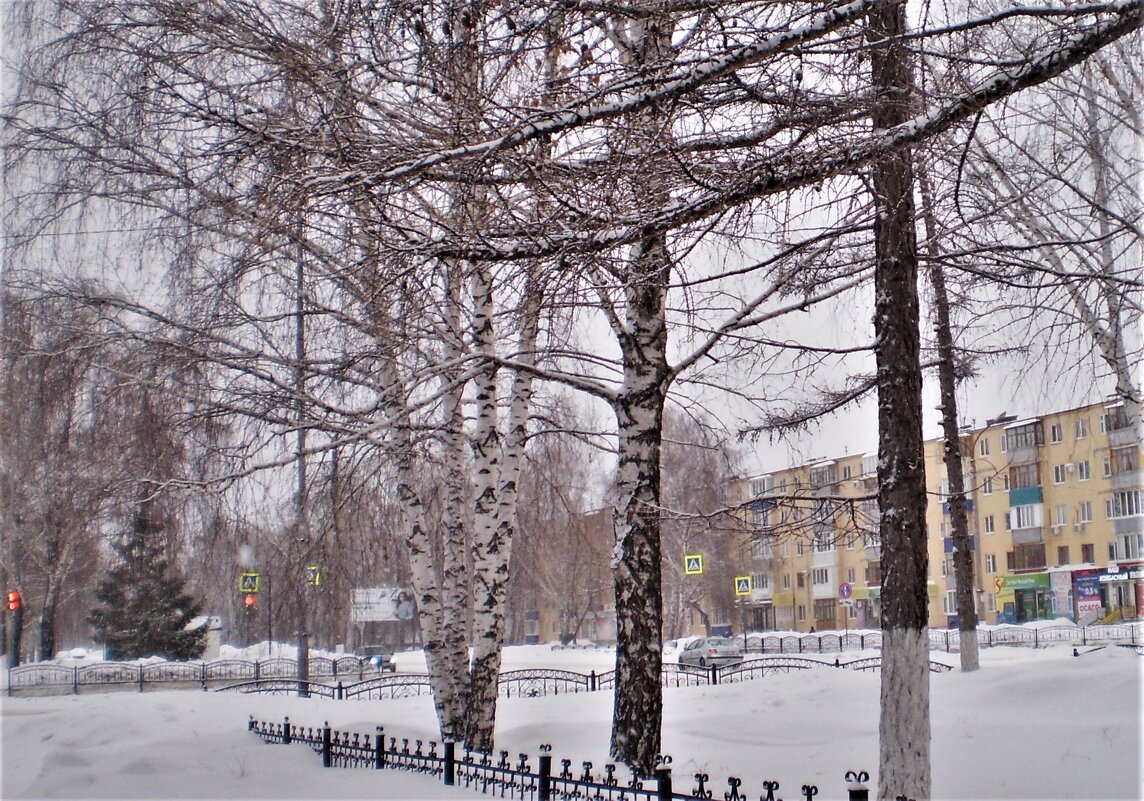 Последний день зимы, невысохший просёлок… Ведут зиму на казнь, на тёплый эшафот - Венера Чуйкова