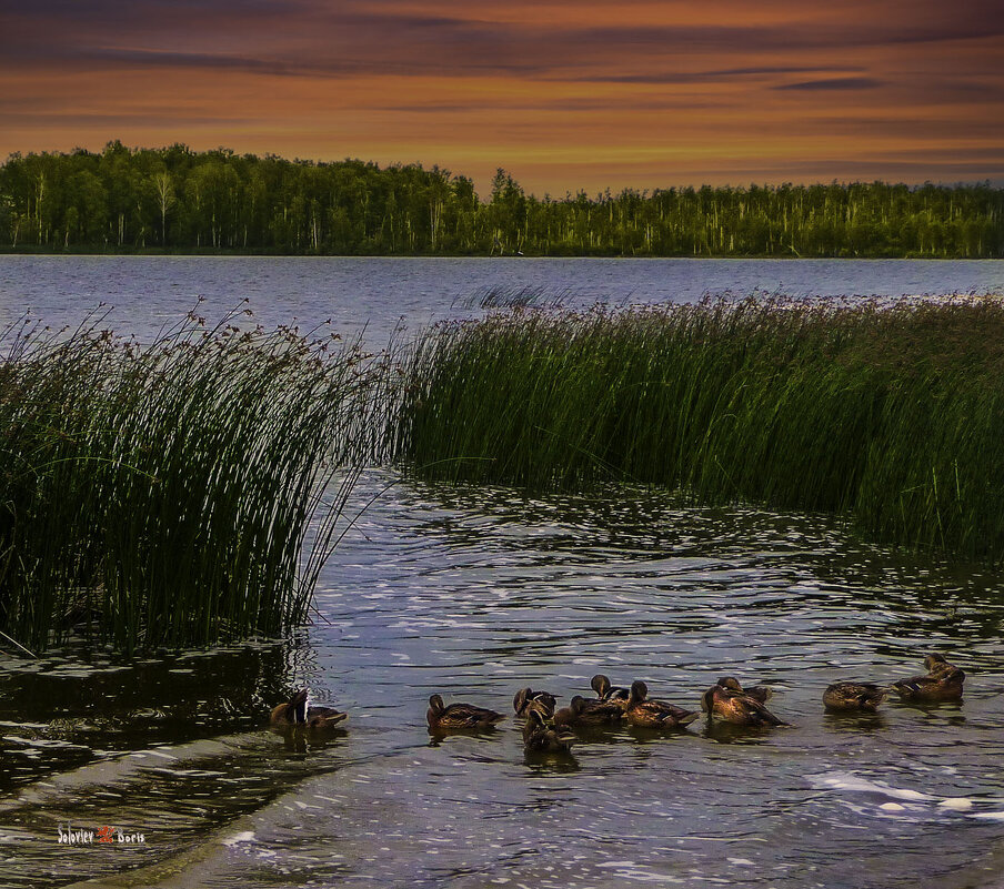Закат на озере Тараскуль - Борис Соловьев