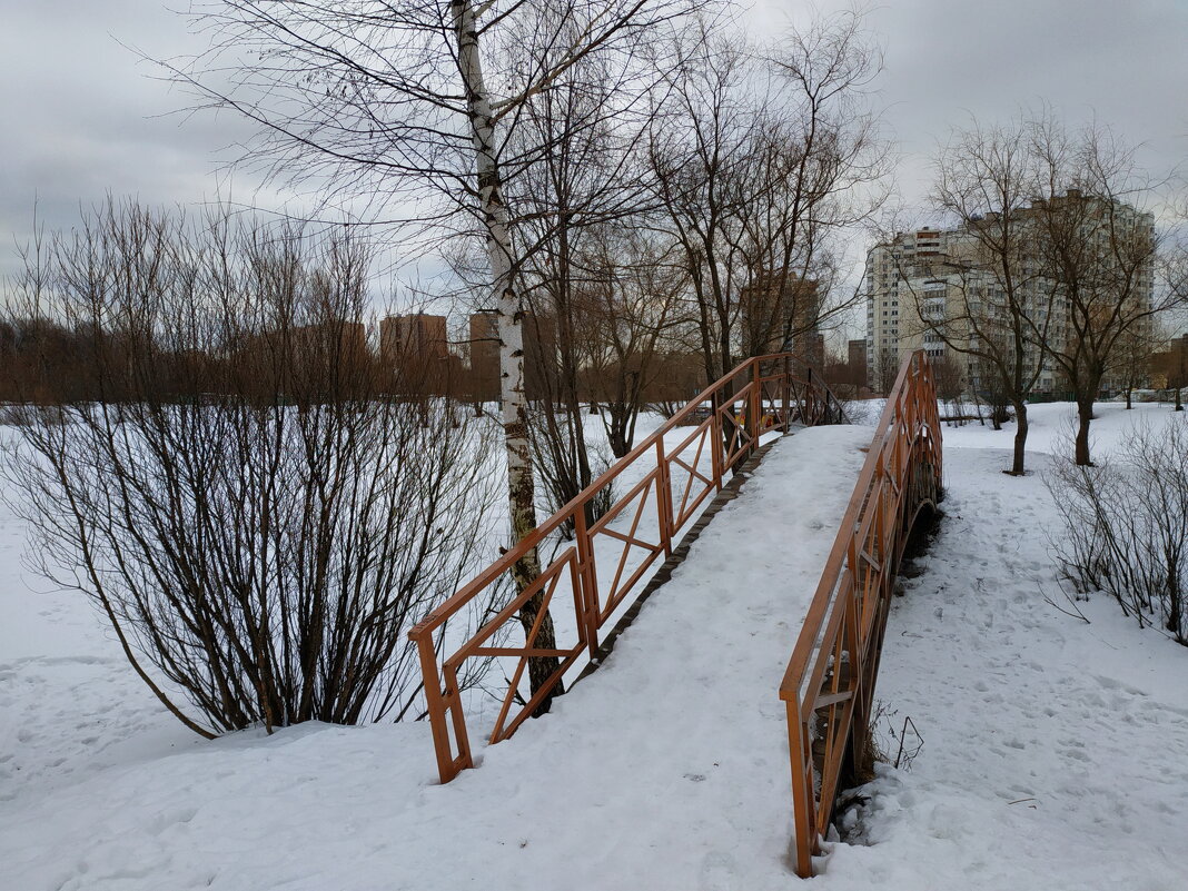 Первый день весны в Москве не впечатлил - Андрей Лукьянов