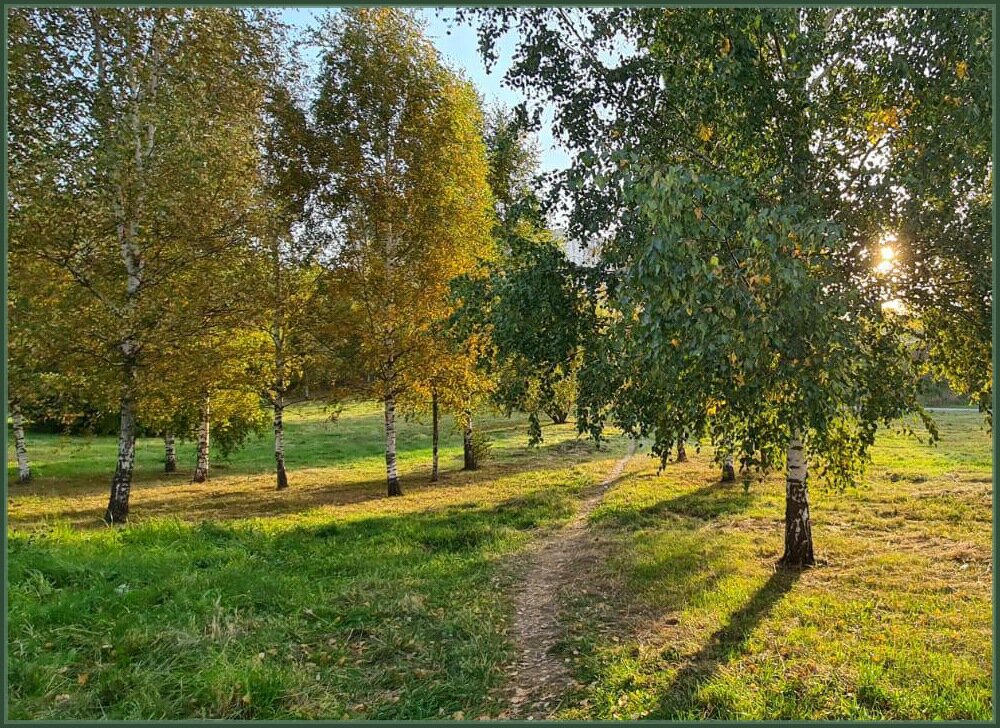 Тропинка в прекрасное... - Лариса Масалкова