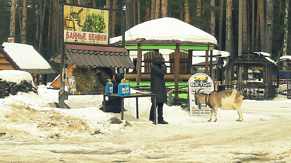 многое продаётся и коза тоже - Любовь 