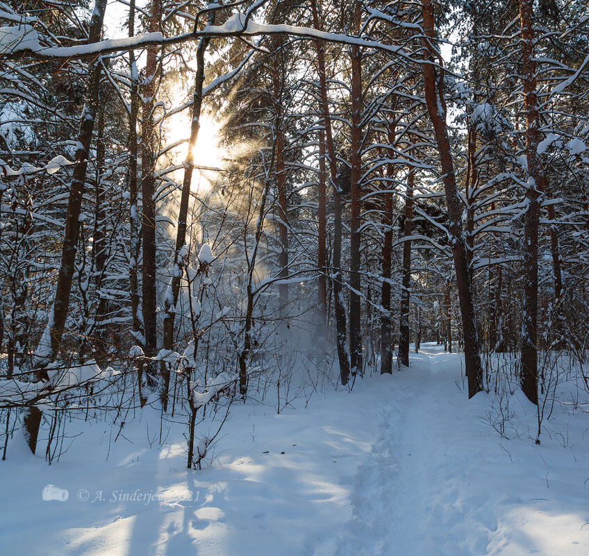 Солнечный снежный пейзаж - Александр Синдерёв